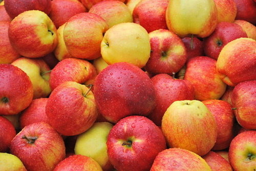 Apples Apples