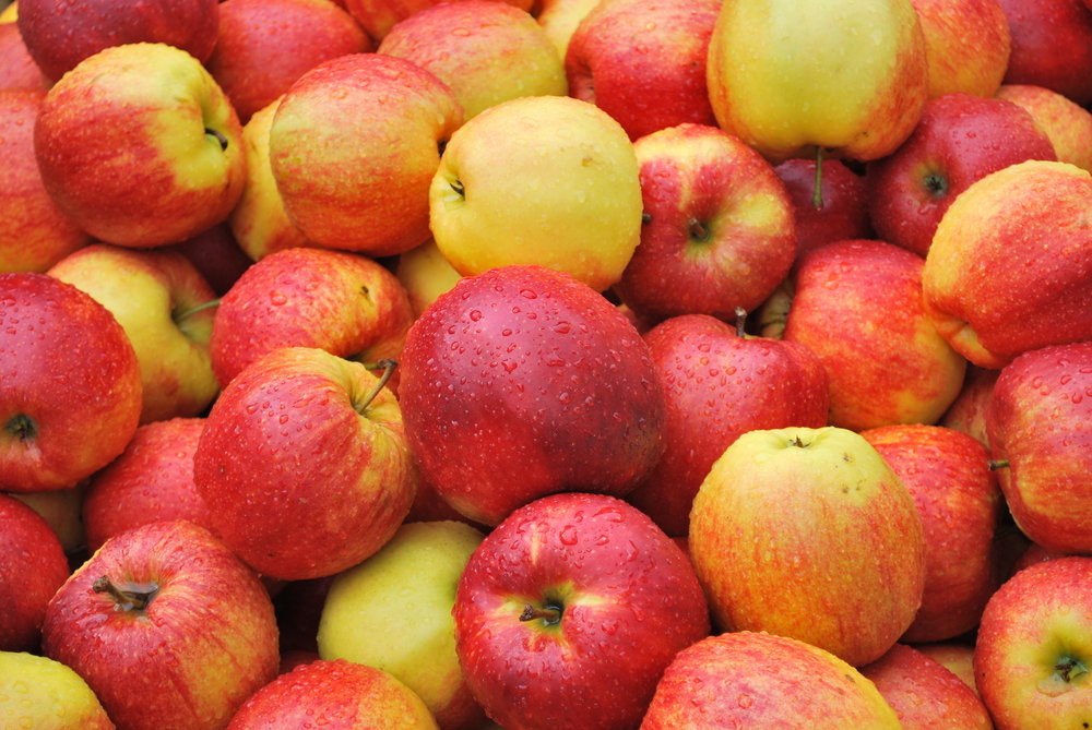 Apples Apples