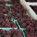 Blackberries