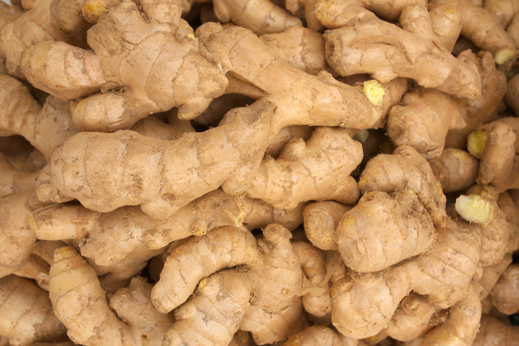 Ginger Ginger