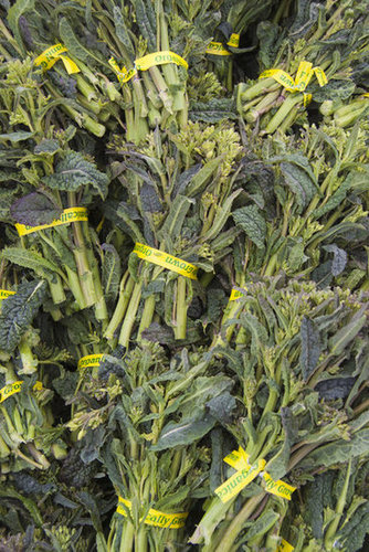Broccoli Rabe/Broccolini Broccoli Rabe/Broccolini