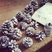 Winter Pine Cones 