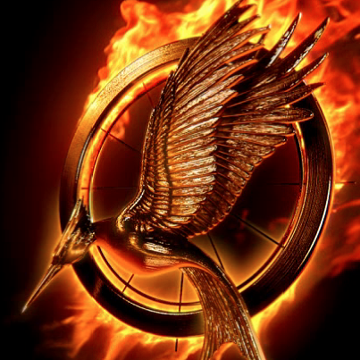Catching Fire Poster