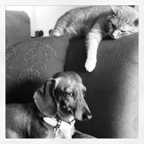 Oh, Am I Bothering You? Oh, Am I Bothering You?