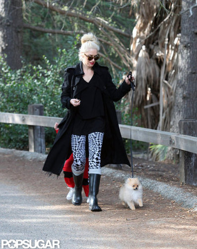 Gwen Stefani took her dog for a walk in an LA park.
Gwen Stefani took her dog for a walk in an LA park.