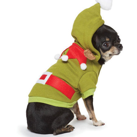 Best Pet Products For December 2012