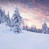 Save Money This Winter