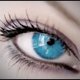 Eyelashesfast