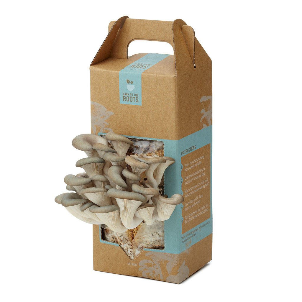 Mushroom Kit Mushroom Kit