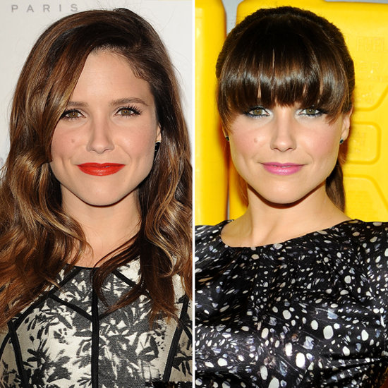 Sophia Bush