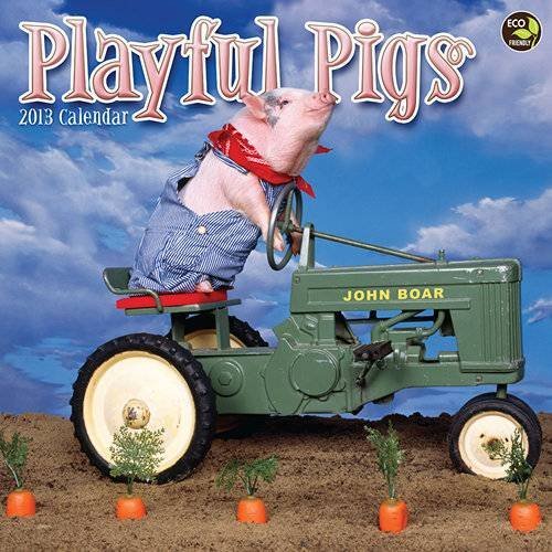 Playful Pigs Playful Pigs