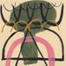 Beholder