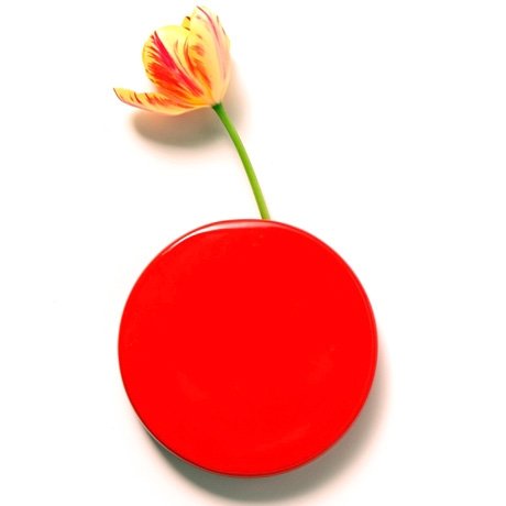 Wall Vase