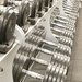 Don't Fear the Free Weights