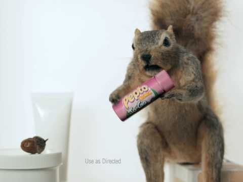 Wise Pepto Squirrel Wise Pepto Squirrel