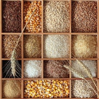 How to Cook Grains