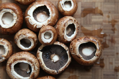 Mushrooms Mushrooms
