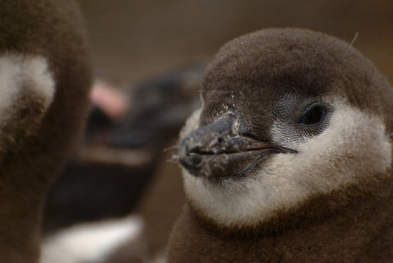 Cute Baby!