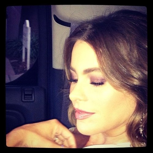 Before the SAG Awards, Sofia Vergara showed off her pretty pink eye shadow.
Source: Instagram user sofiavergara
Before the SAG Awards, Sofia Vergara showed off her pretty pink eye shadow.
Source: Instagram user sofiavergara