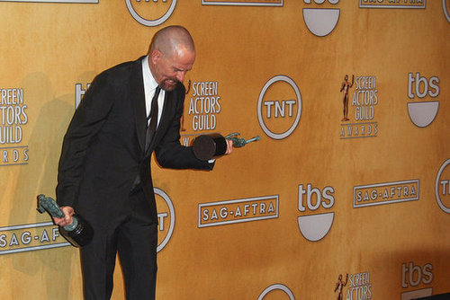 Highlights From the 2013 SAG Awards Highlights From the 2013 SAG Awards