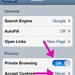 Enable Private Browsing on iDevices