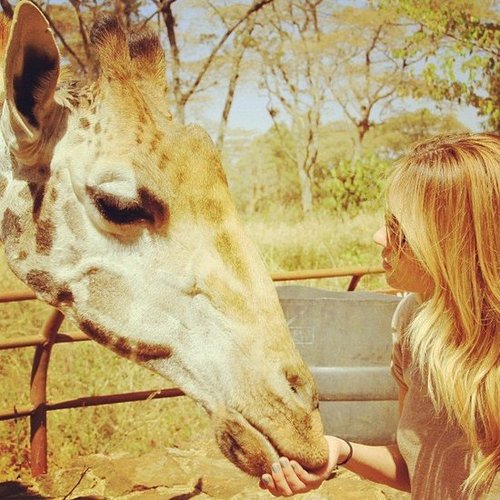 Lauren Conrad made a friend while on vacation.
Source: Instagram user laurenconrad
Lauren Conrad made a friend while on vacation.
Source: Instagram user laurenconrad