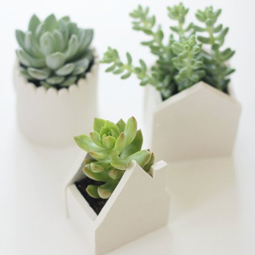 Best DIY Projects For Home Decorating
