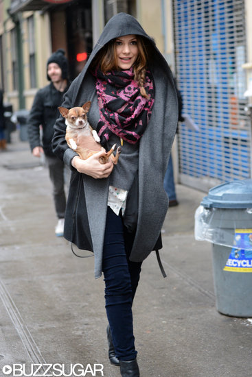 Walking the Dog