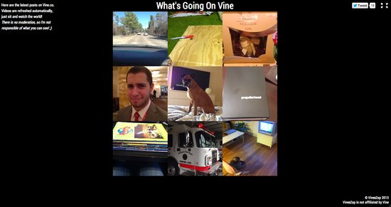 VinesZap VinesZap