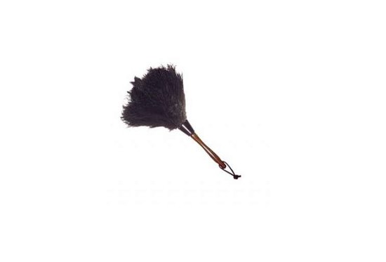 Feather Duster