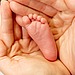 Feet