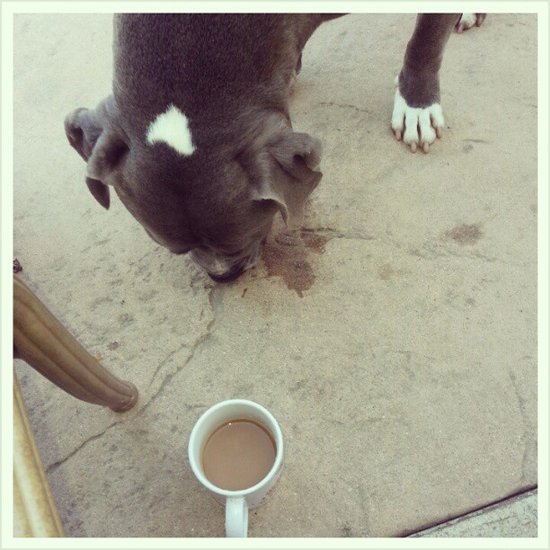 Who Doesn't Love Coffee? Who Doesn't Love Coffee?