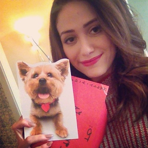 Emmy Rossum displayed an adorable card from her BFF for Valentine's Day.
Source: Instagram user emmyrossum
Emmy Rossum displayed an adorable card from her BFF for Valentine's Day.
Source: Instagram user emmyrossum