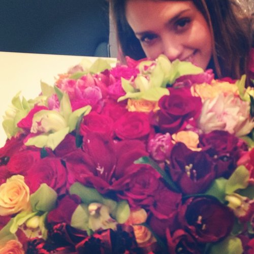 Cash Warren gave a sneak peek of the flowers he gave Jessica Alba for Valentine's Day.
Source: Instagram user cash_warren
Cash Warren gave a sneak peek of the flowers he gave Jessica Alba for Valentine's Day.
Source: Instagram user cash_warren