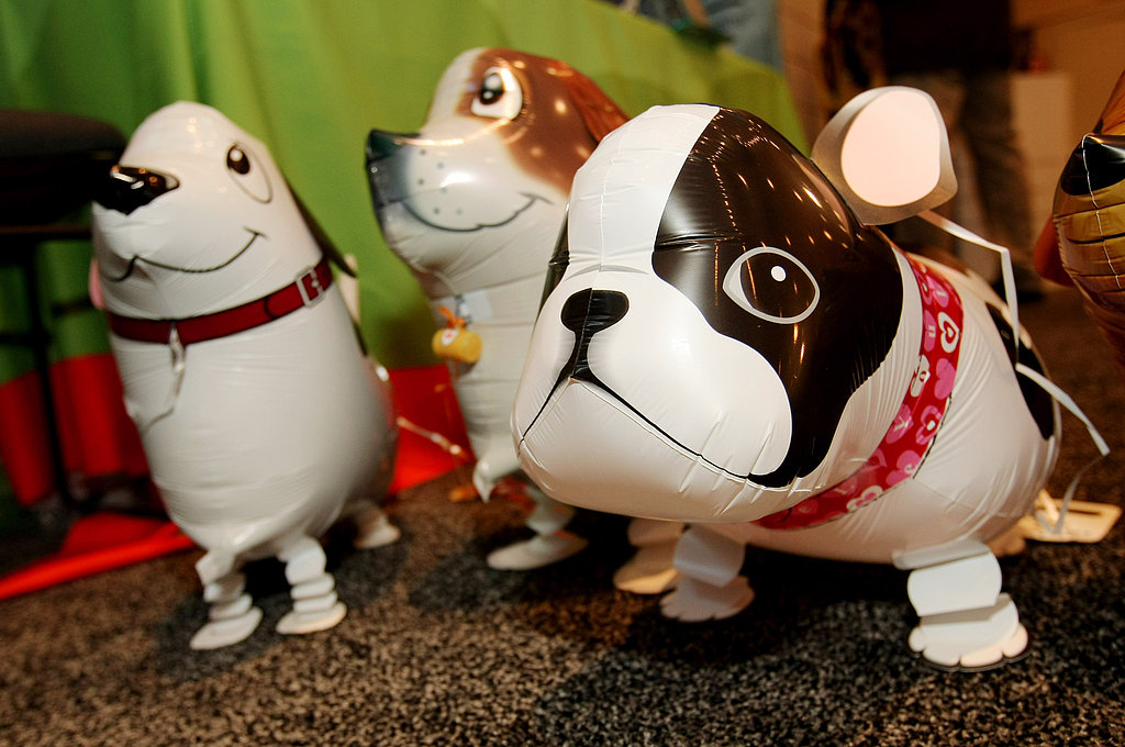 Dog balloons were displayed at My Own Pet.
Dog balloons were displayed at My Own Pet.