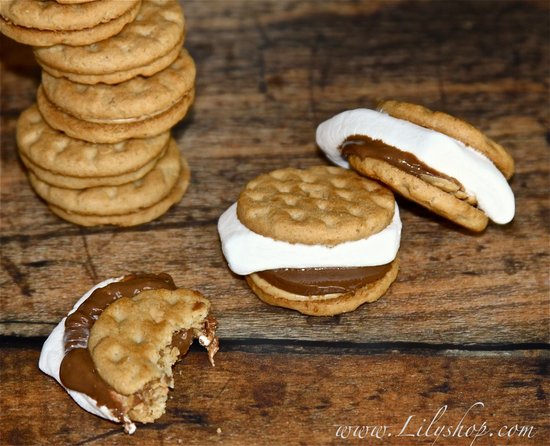 Girl Scout Cookie S'mores Girl Scout Cookie S'mores