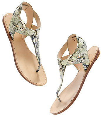 Belle by sigerson morrison® randy snake sandals