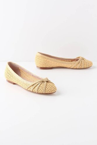Interlinking Pinnate Flats