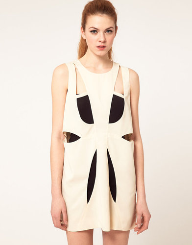 Cameo Spectrum Cut Out Tunic Dress