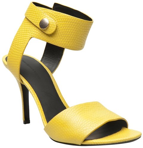 Alexander Wang Amber mid heel sandal