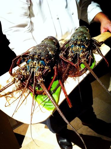 Lobster Dinner Lobster Dinner