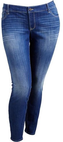 Women's Plus The Rockstar Skinny Jeans