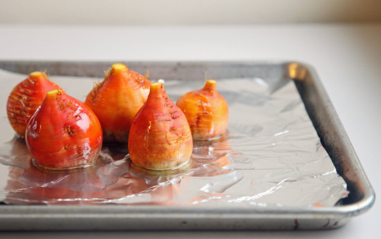 Drizzle With Oil Drizzle With Oil