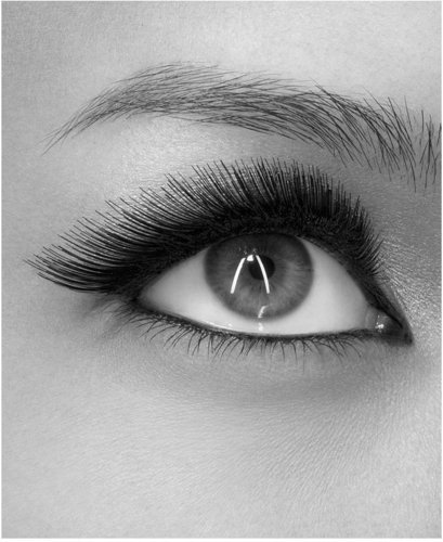 Urban Decay Urban Lash