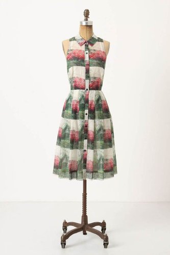 Crepe Myrtle Shirtdress