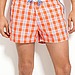 Penguin Plaid Swim Shorts