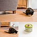 Sojos Organic Catnip