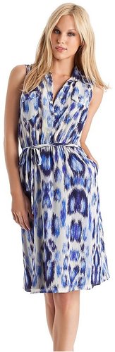 Giffin Button-Down Dress