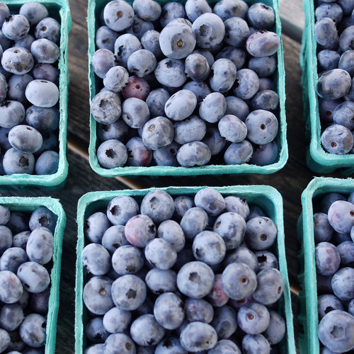 Blueberries Blueberries