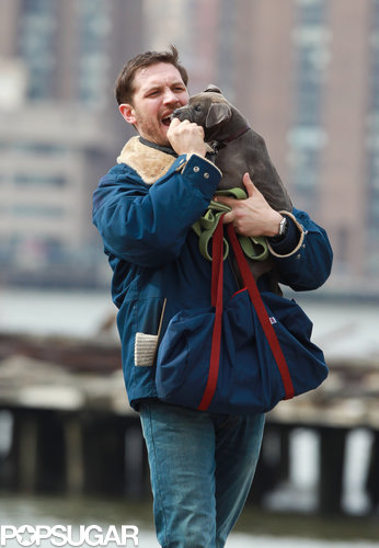 Tom Hardy Cuddles Up to a Canine Costar on Set Tom Hardy Cuddles Up to a Canine Costar on Set